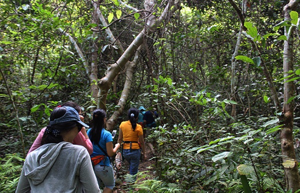 Rừng Quốc Gia Cát Bà