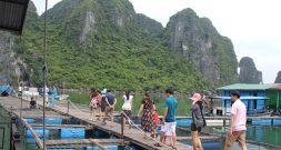 Làng chài trên biển Hạ Long