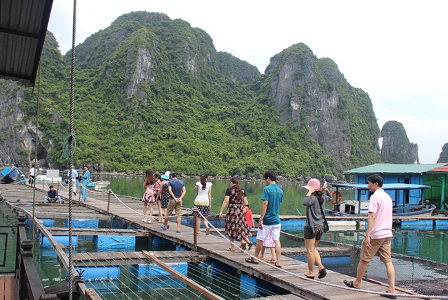 Làng chài trên biển Hạ Long