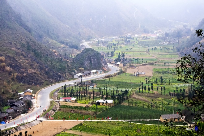 lũng cẩm